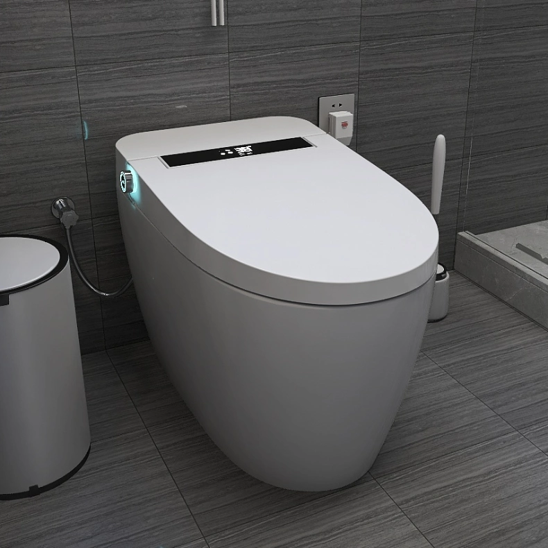 Auto Flush Intelligent Smart Electric Automatic Toilet