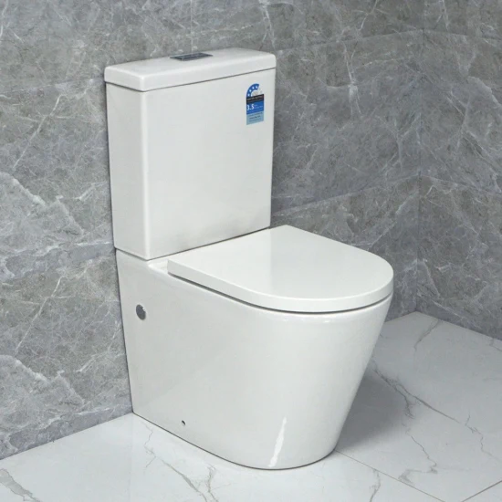 Wc sifonico in ceramica con bidet e sciacquone