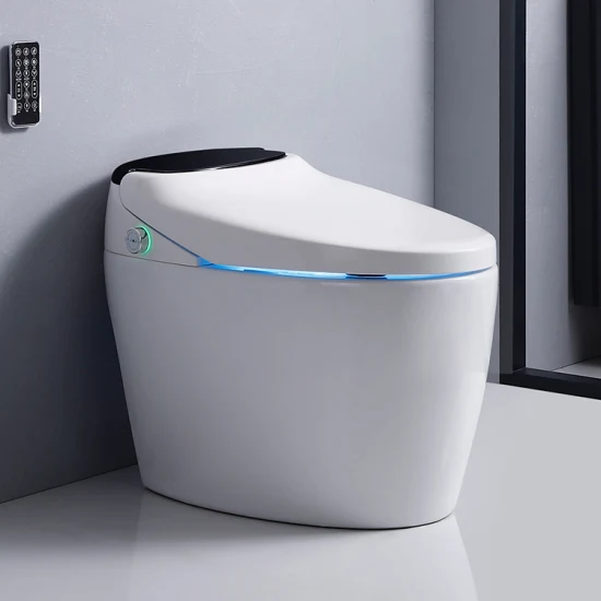 Chaozhou Sanitari 110V/220V Porcellana Sensore Automatico Europeo per Bagno Wc con Sciacquone Automatico WC Intelligente WC Intelligente con Sedile WC