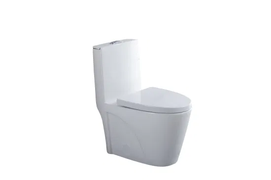 Ovs Cupc Nord America Bagno In Ceramica Un Pezzo Wc Cinese Water Closet Prezzi Ideal Standard Commode Toilette